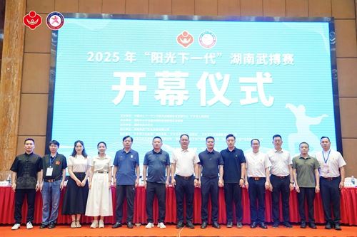 2025年“阳光下一代”湖南武搏赛桃江县武术队荣获佳绩(图1)