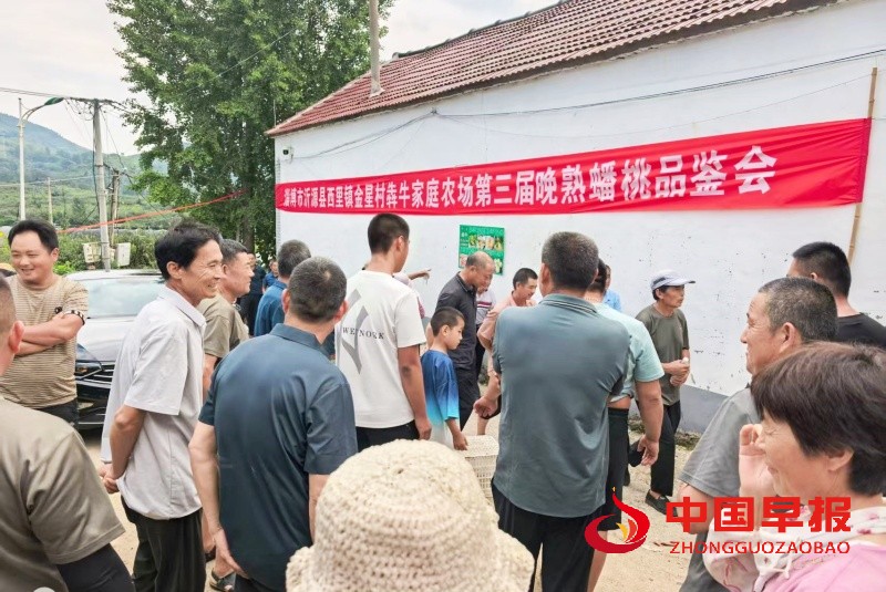 1755586236535798.jpg 1_副本.jpg