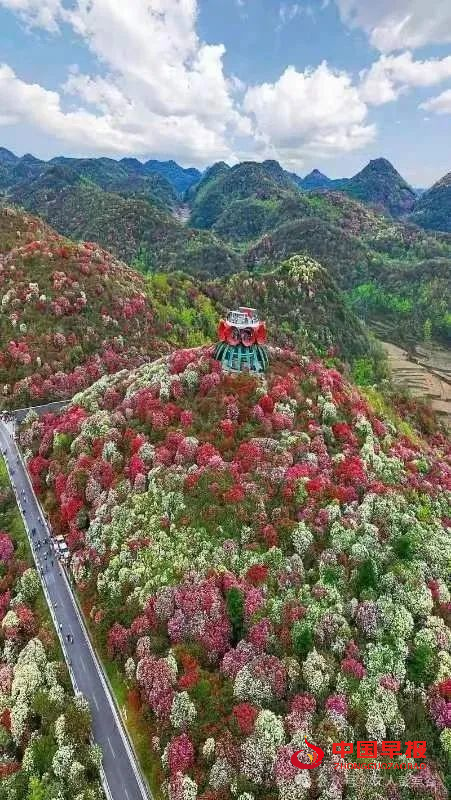 1756118521293628.jpg 55.jpg