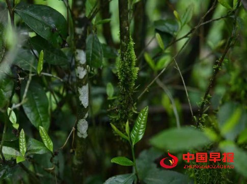 1756951625116942.jpg 7777.jpg