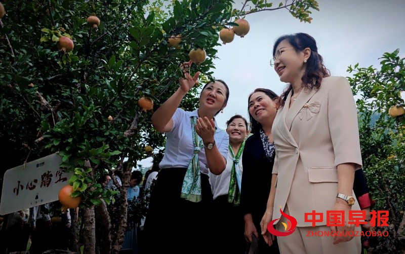 1757651603790325.jpg 2_副本.jpg