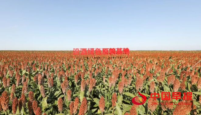 1758270860887383.png 微信图片_20250919162952.png