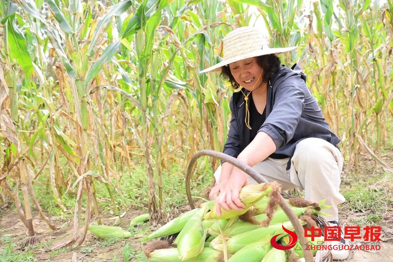 1759026751144759.jpg 图片04.jpg