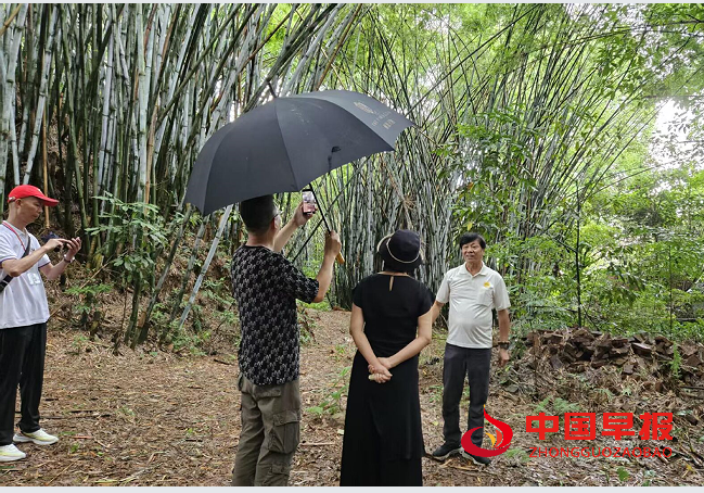 1759031775965907.png 1竹林.png