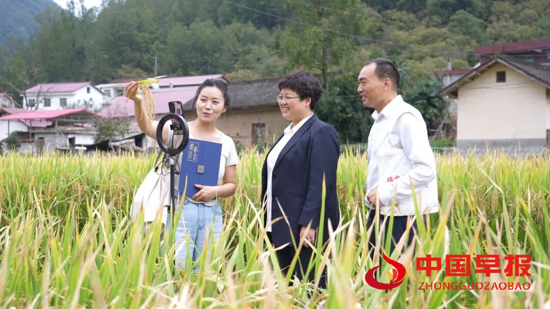 1760169631145513.jpg 图片01.jpg