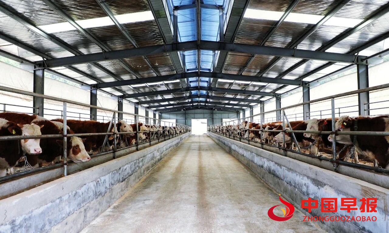 1760426177309469.jpg 图片01.jpg