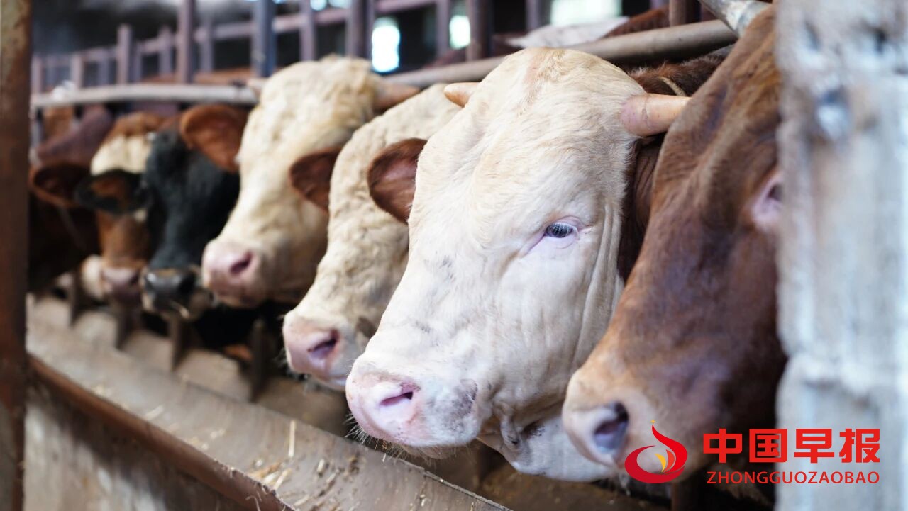 1760426313100402.jpg 图片03.jpg