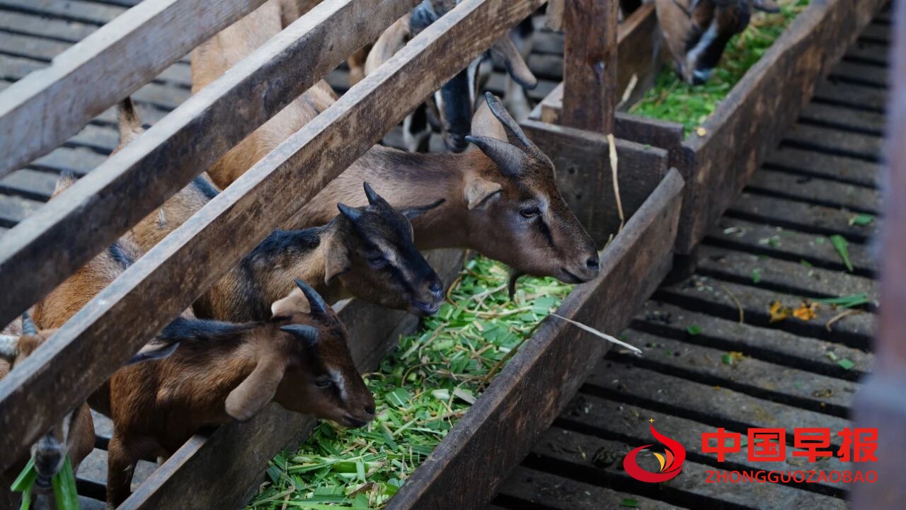 1760426380145022.jpg 图片04.jpg