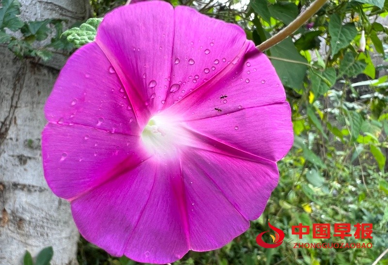 1760614524178042.jpg 微信图片_20251016191354_44_229_副本.jpg