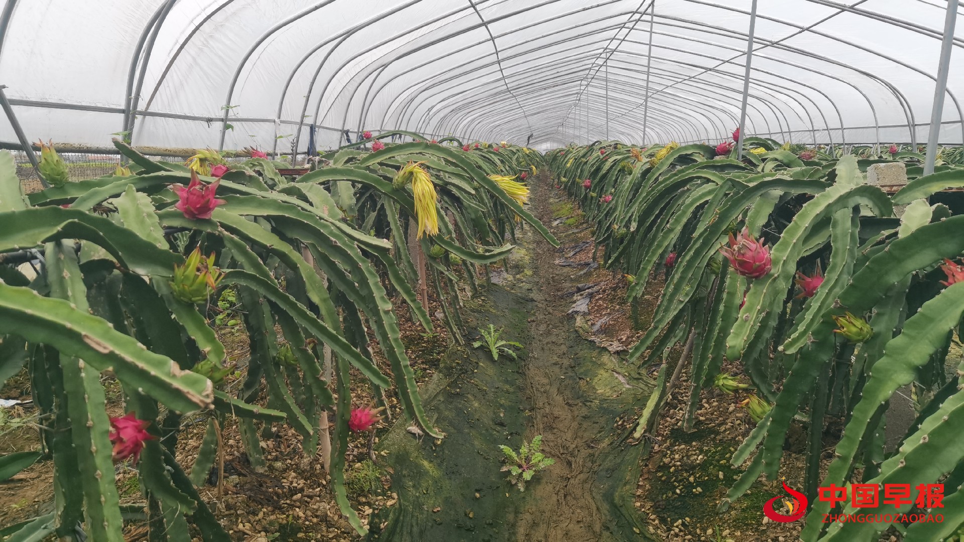 1760670339196567.jpg 1760670339196567.jpg