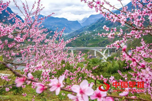 种花让生活更美好(图2) 种花让生活更美好(图2)