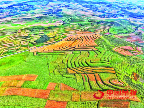 特色产业蓬勃发展 品牌建设成效显著:青海海东特色农业结硕果(图2) 特色产业蓬勃发展 品牌建设成效显著:青海海东特色农业结硕果(图2)