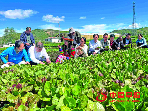 特色产业蓬勃发展 品牌建设成效显著:青海海东特色农业结硕果(图4) 特色产业蓬勃发展 品牌建设成效显著:青海海东特色农业结硕果(图4)