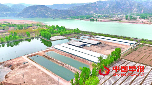 青海海东商贸发展跑出“加速度” 商贸经济交出亮眼答卷(图3) 青海海东商贸发展跑出“加速度” 商贸经济交出亮眼答卷(图3)