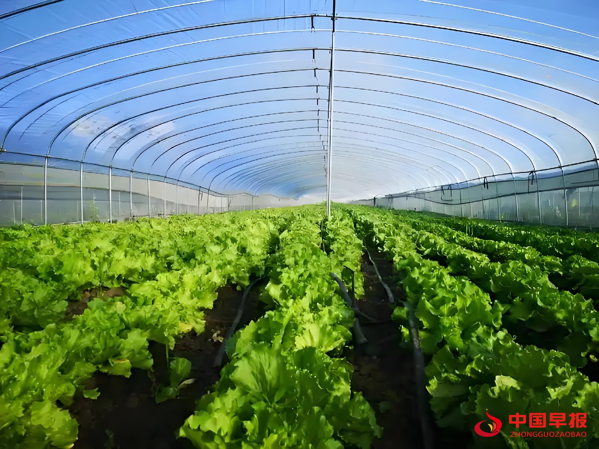 1761035174183917.jpg 图片01.jpg