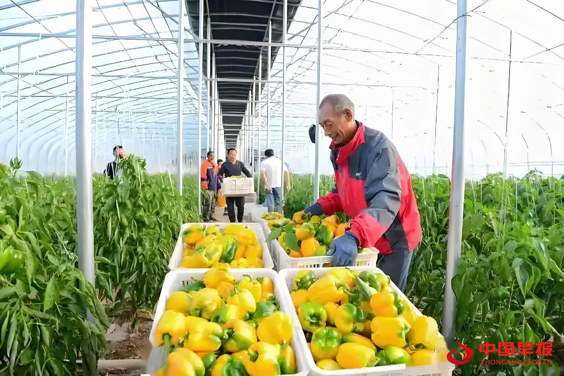 1761035423192021.jpg 图片06.jpg