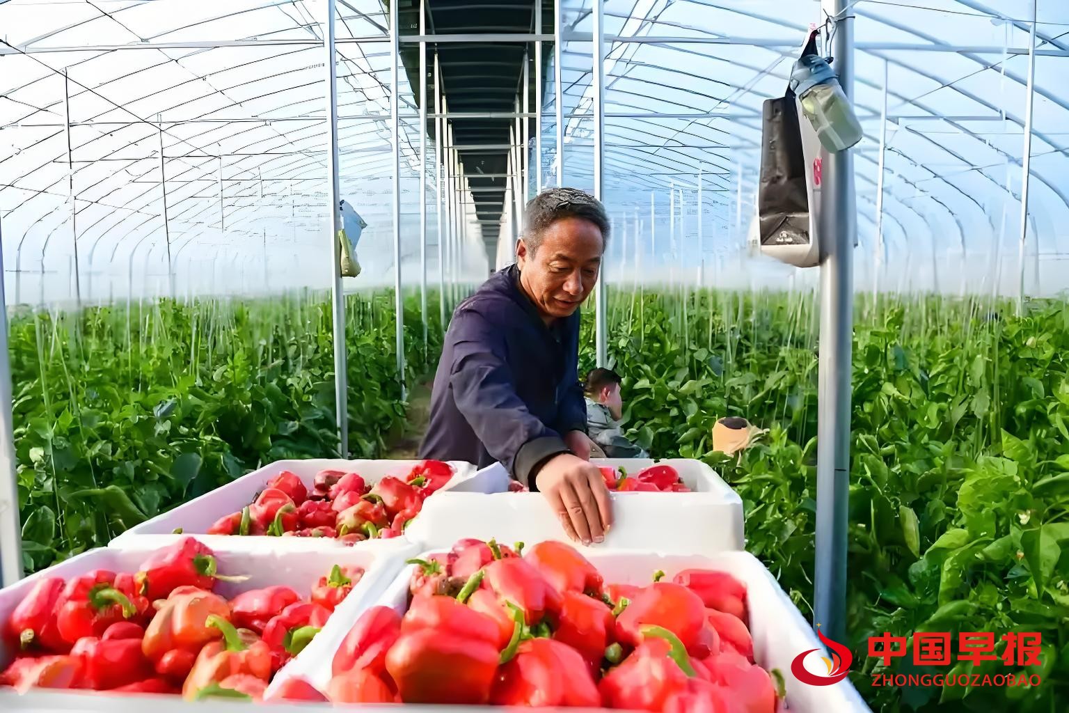 1761035492197692.jpg 图片07.jpg