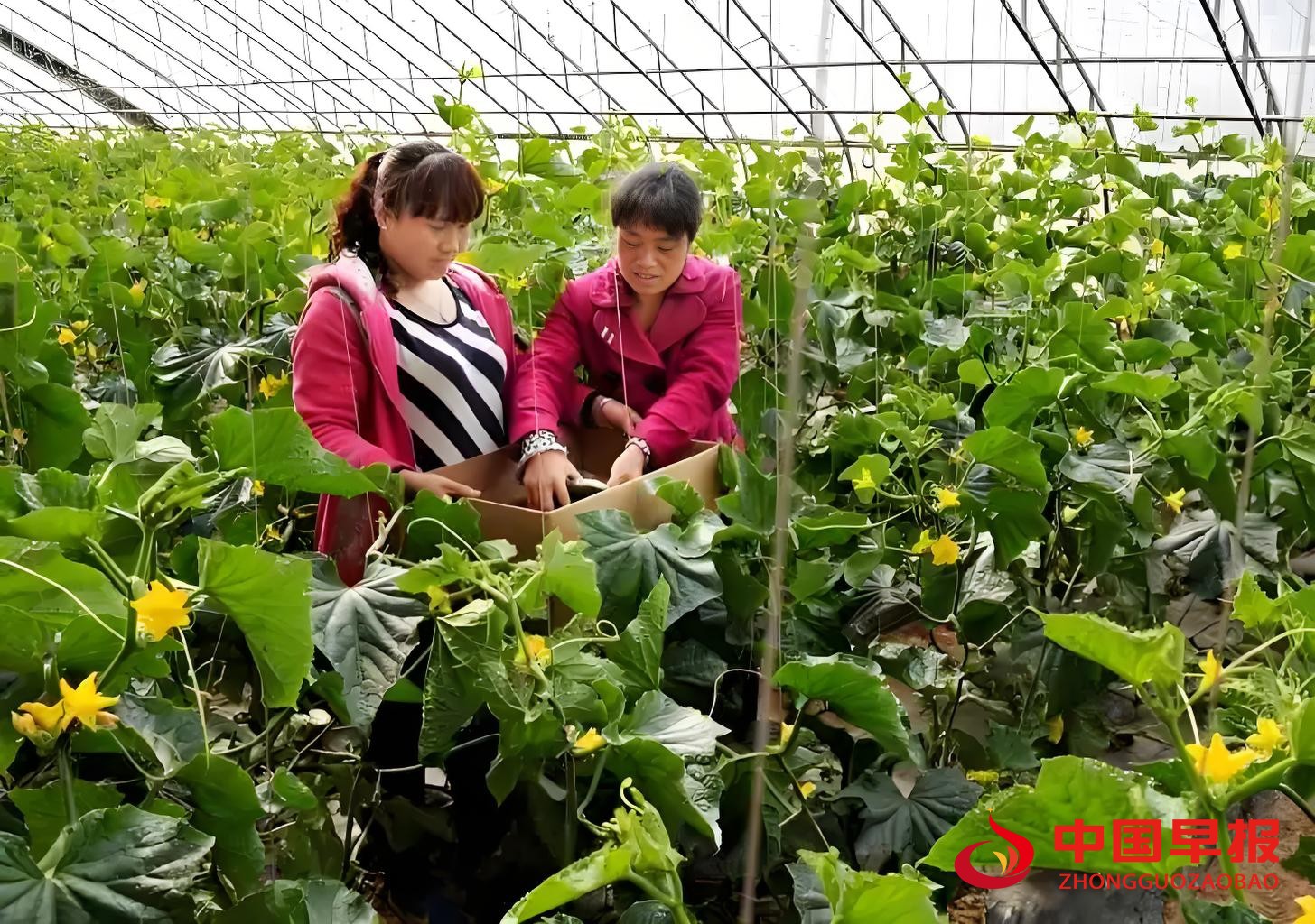 1761035632921178.jpg 图片09.jpg