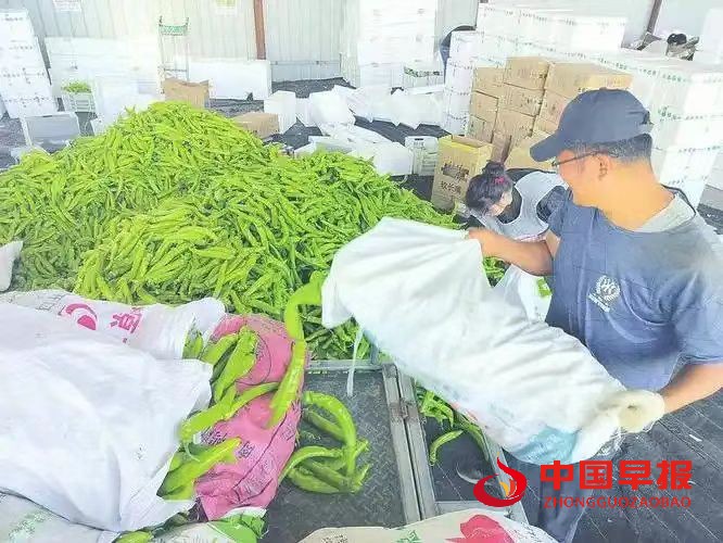 1761035754608408.jpg 图片011.jpg