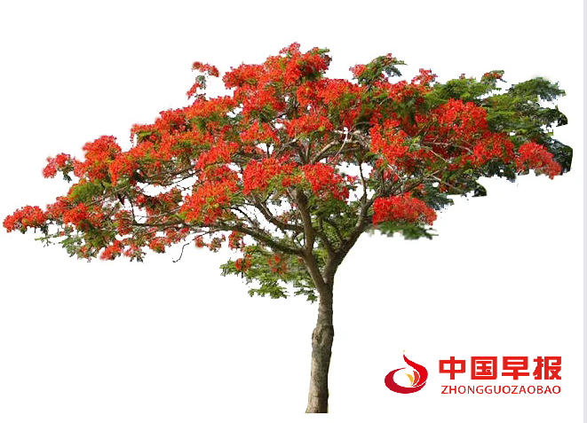 1761095659316750.png 2.png