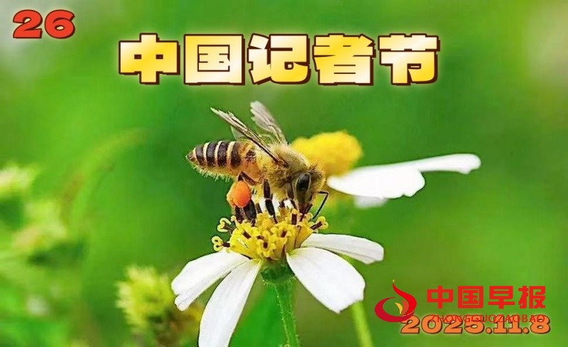 1762499761192566.jpg 微信图片_20251107145246_3015_35_副本_副本.jpg