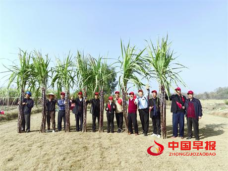 1763463508285583.png 图片4.png