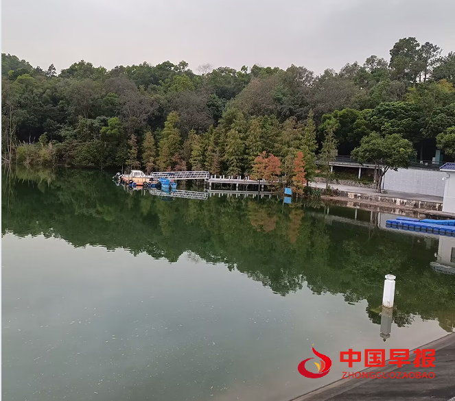 1764729852199961.png 2金钟湖美景.png