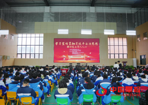 1765426814521149.png 5.png