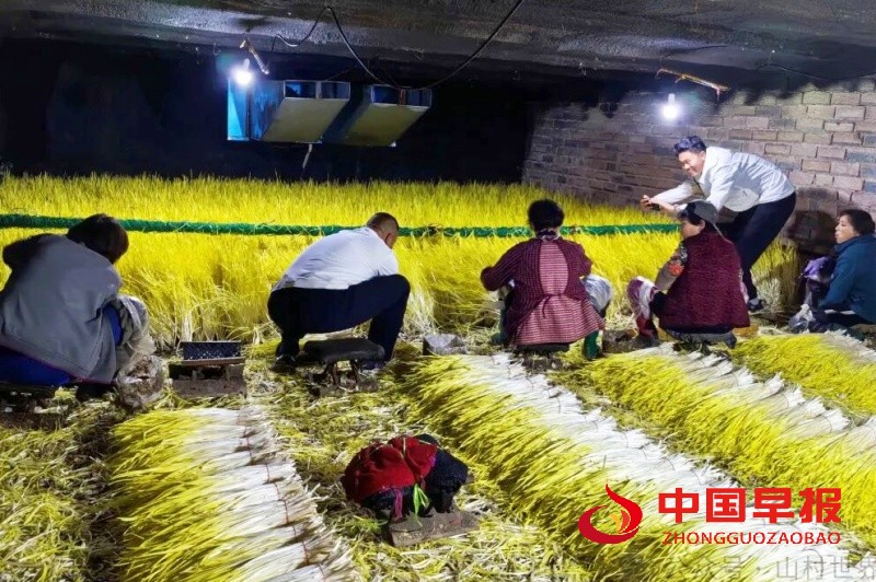 1766331606153177.jpg 640_副本.jpg