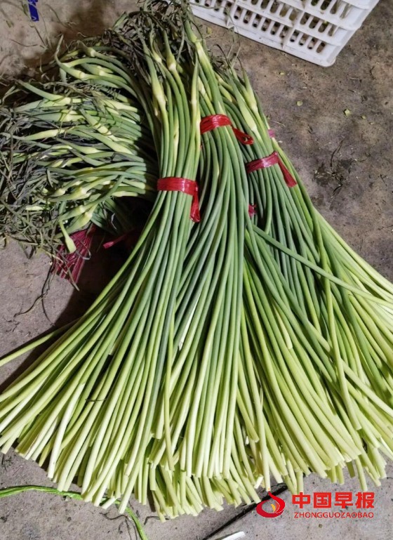 1766331615176033.jpg 640 (1)_副本.jpg